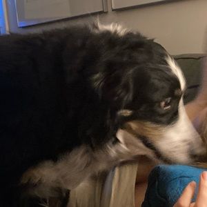 Meet your Posher, Greg